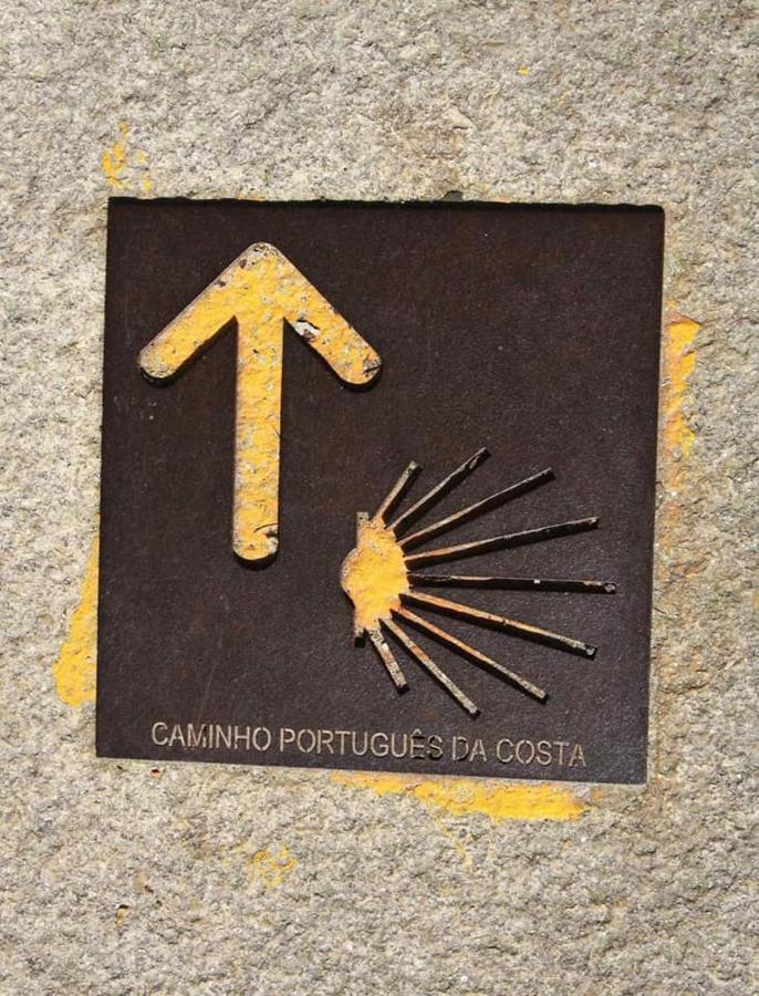 Suite Da Joaninha Caminha Exteriör bild